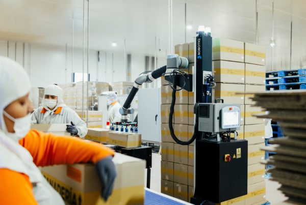 Solucion de paletizado automatizado con Brazo robótico colaborativo (cobot) realizando tareas de paletizado de cajas en una línea de producción industrial, trabajando junto a operarios humanos en un entorno de almacén